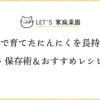 家庭菜園で育てたにんにくを長持ちさせる乾燥・保存術＆おすすめレシピ