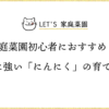 家庭菜園初心者におすすめ！虫に強い「にんにく」の育て方