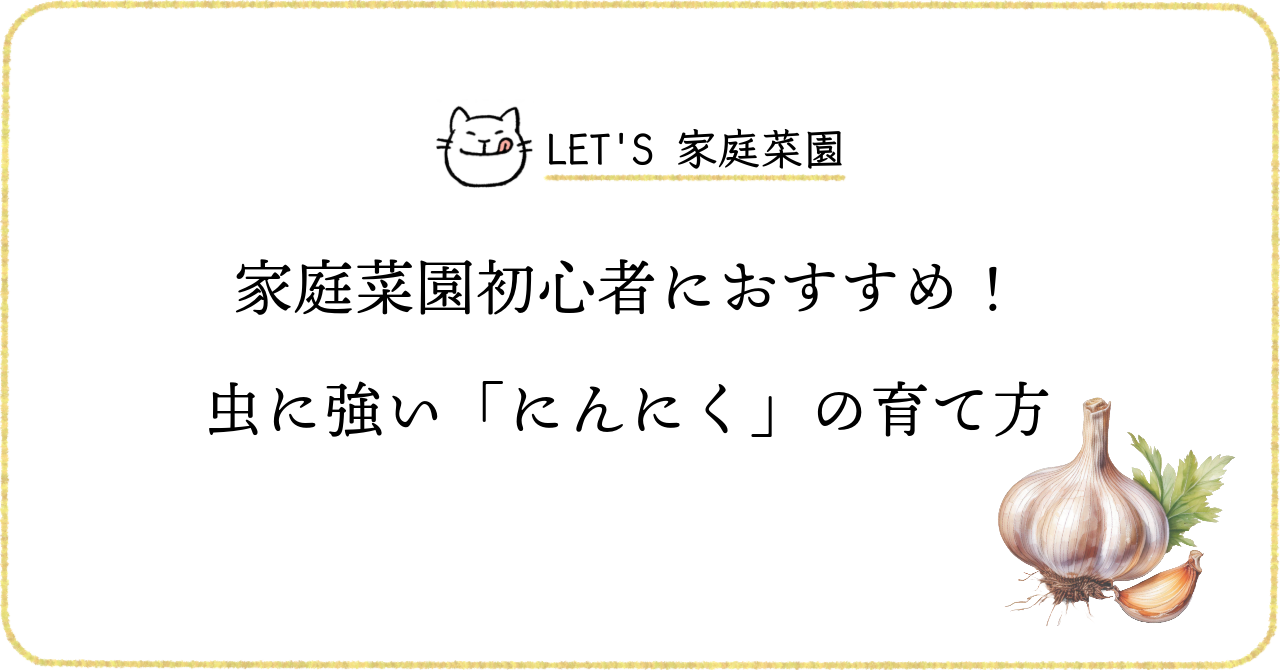 家庭菜園初心者におすすめ！虫に強い「にんにく」の育て方